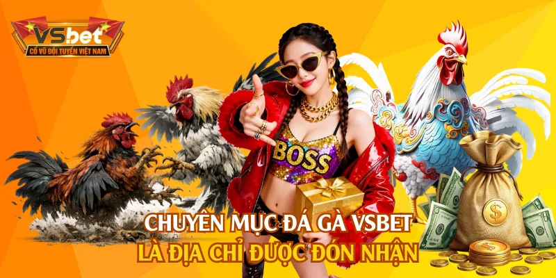 Chuyên mục đá gà VSBET là địa chỉ được đón nhận