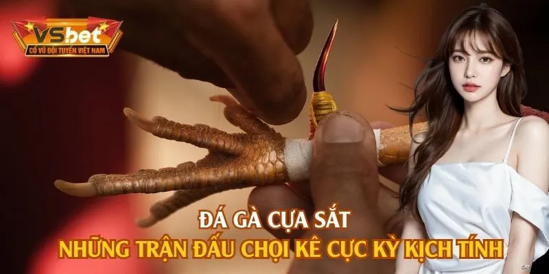Đá Gà Cựa Sắt