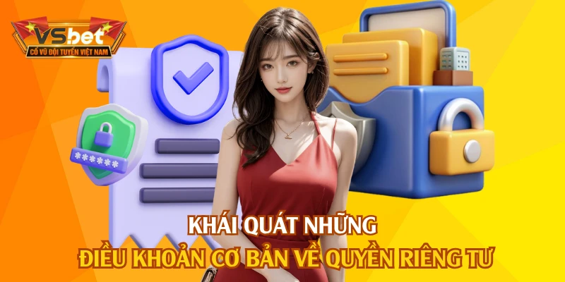 Khái quát những điều khoản cơ bản về quyền riêng tư