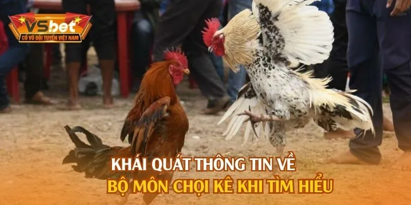Khái quát thông tin về bộ môn chọi kê khi tìm hiểu